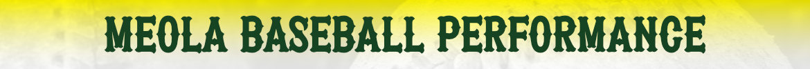 Meola Baseball Camps - LeMoyne College